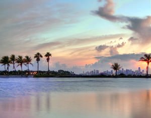 Matheson Hammock & Miami Skyline