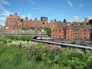 High Line Park - New York City