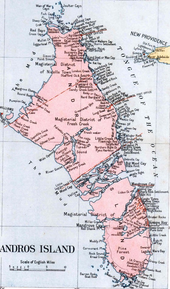 Detaillierte Karte von Andros Insel 2