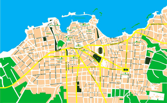 Large map of Chania 1