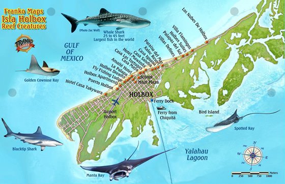 Детальная карта острова Хольбокс 1