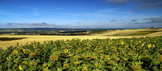 Панорамное фото Бургундии