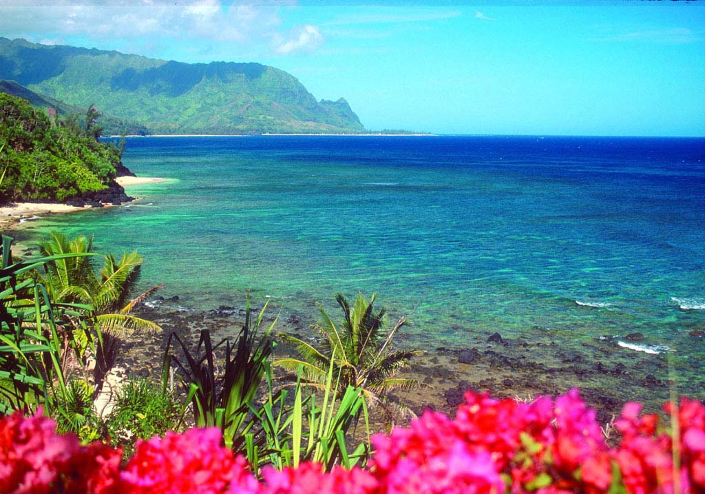Hotels in Maui | Best Rates, Reviews and Photos of Maui Hotels