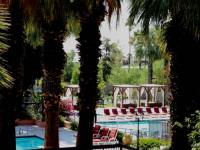 Отель Ivy Palm Resort and Spa