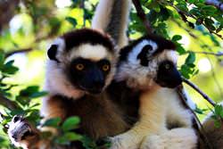 Национальный парк Андухахела, Мадагаскар