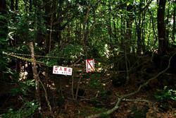 Aokigahara Jukai Forest, Japan