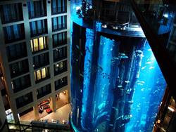 Лифт - аквариум AquaDom, Германия