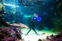 Океанариум Аква, Австралия