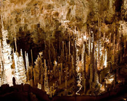 Пещера Авен Арман 