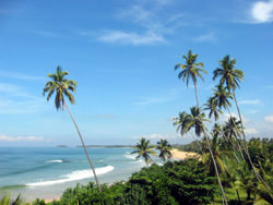 Bentota Plajı, Sri Lanka