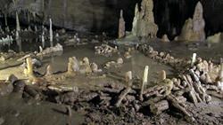Cueva de Bruniquel