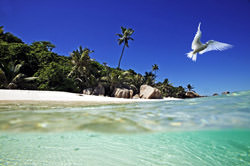 Cousin Island, Republic of Seychelles