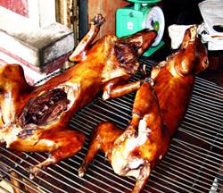 Hundefleisch in Hanoi Restaurants, Vietnam
