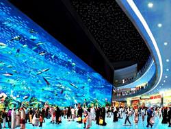 Dubai Aquarium, VAE