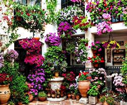 Цветочные дома в Кордове, Испания