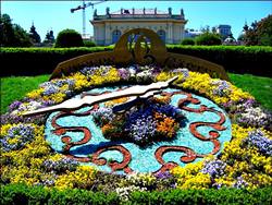 Flower Clock in Vienna, Austria