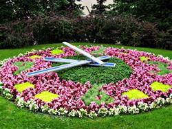 Flower Clock in Ventspils