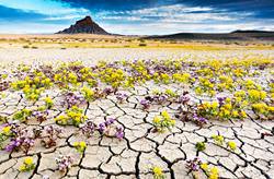 Los 11 Desiertos Más Inusuales en el Planeta