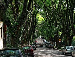 Calle Goncalo de Carvalho, Brasil