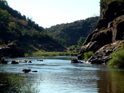 Grenzübergreifender Limpopo Park, Südafrika