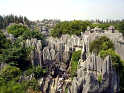 La Reserva Forestal Jianfeng Ling, China