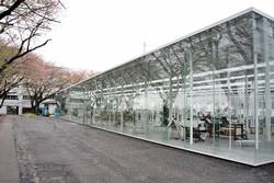 Институт технологий Канагавы, Япония