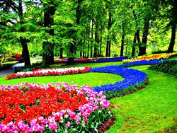 Parque de Flores Keukenhof, Países Bajos