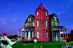 Живой дом в парке Dubai Miracle Garden, ОАЭ