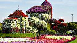 Flower House in Dubai Miracle Garden Park, United Arab Emirates