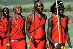 Племя Масаи, Кения - Танзания