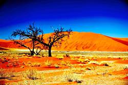 Namib-Naukluft, Namibia