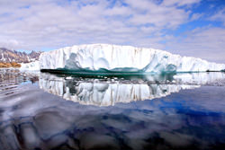 Kuzeydoğu Grönland Ulusal Parkı