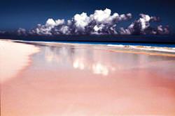 Playa Pink Sands, Bahamas