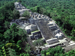 Calakmul Pyramiden