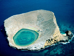 Кратер Рокас Бейнбридж, Galapagos
