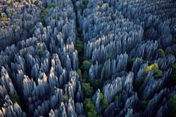 Каменный лес Шилинь , Shilin, Китай