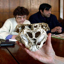 Родопский череп, Болгария