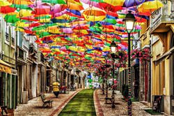 Soaring Umbrellas Street, Portugal