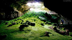 Пещера Сон Дунг 