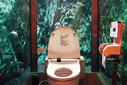 Туалет-аквариум 