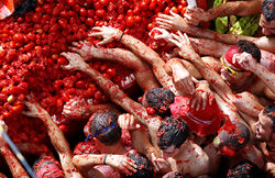 Tomatina Festival, Spanien
