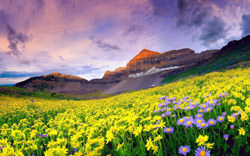 Национальный парк «Долина цветов» 