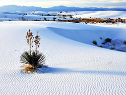 White Sands Çölü, Amerika Birleşik Devletleri