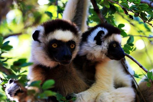 Национальный парк Андухахела, Мадагаскар