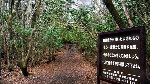 Bosque de Aokigahara Jukai, Japón
