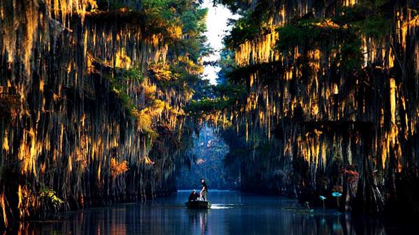 Caddo Gölü, Amerika Birleşik Devletleri