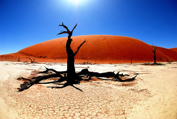 Öldür Vlei, Namibya