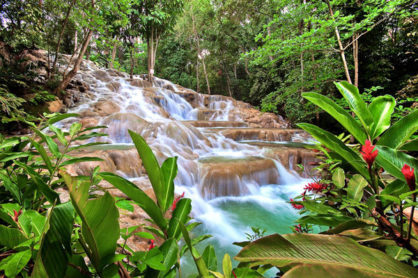 Водопады реки Данн, Ямайка