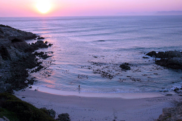 Gansbaai Plajı, Güney Afrika Cumhuriyeti
