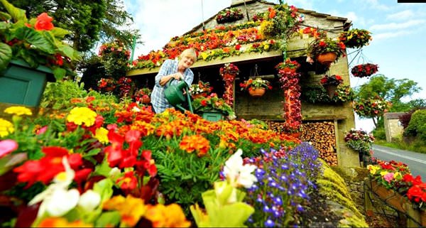 Hausgarten von Anne und Robin Strange, Großbritannien